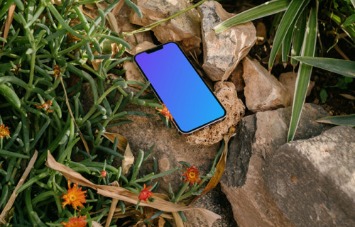 iPhone 13 Pro mockup placed in a garden
