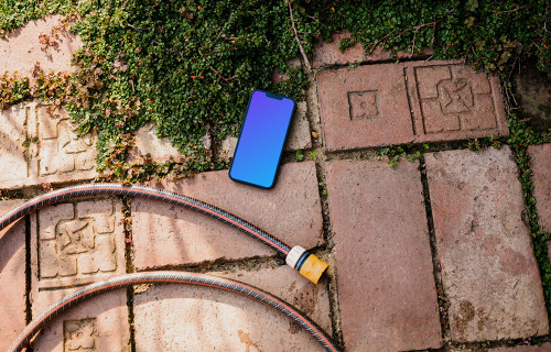 iPhone mockup on a garden paving with plants