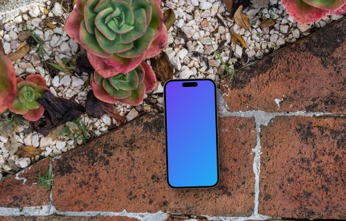 Smartphone mockup laying on a bricks next to succulents