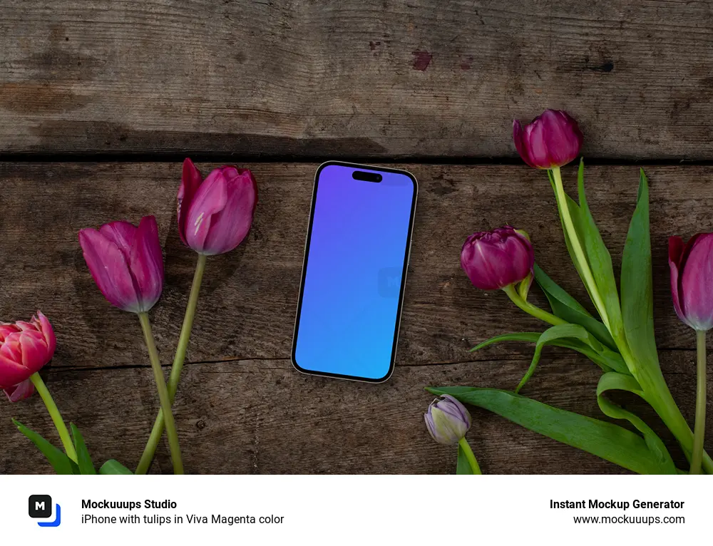 iPhone with tulips in Viva Magenta color